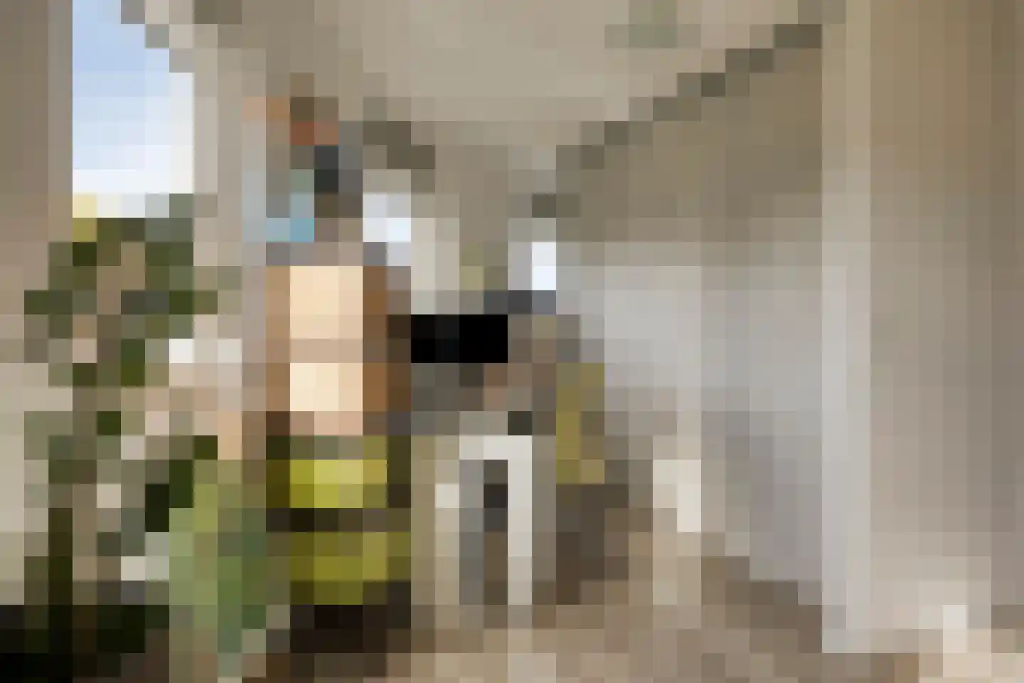 Coreemarke 30 Zwolle thumbnail 13