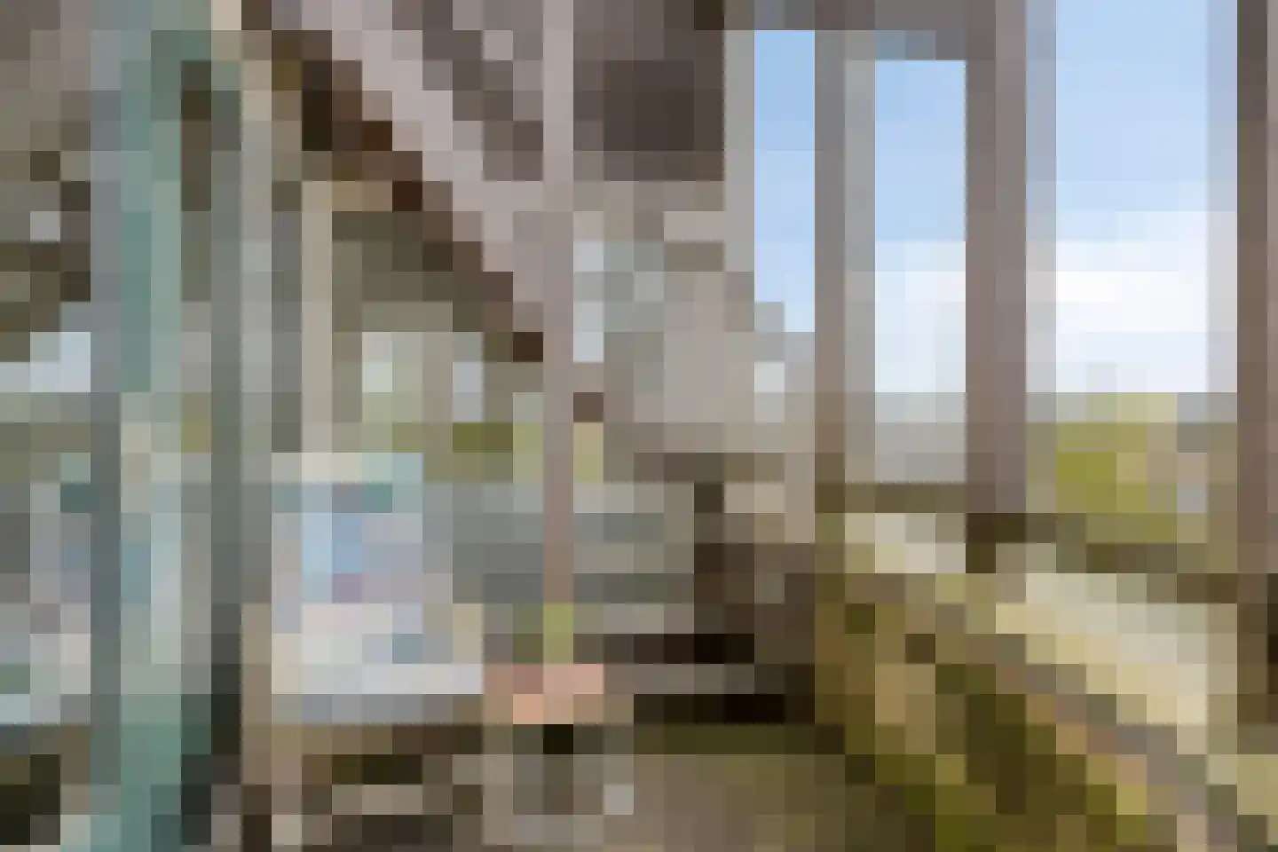 Coreemarke 30 Zwolle thumbnail 29