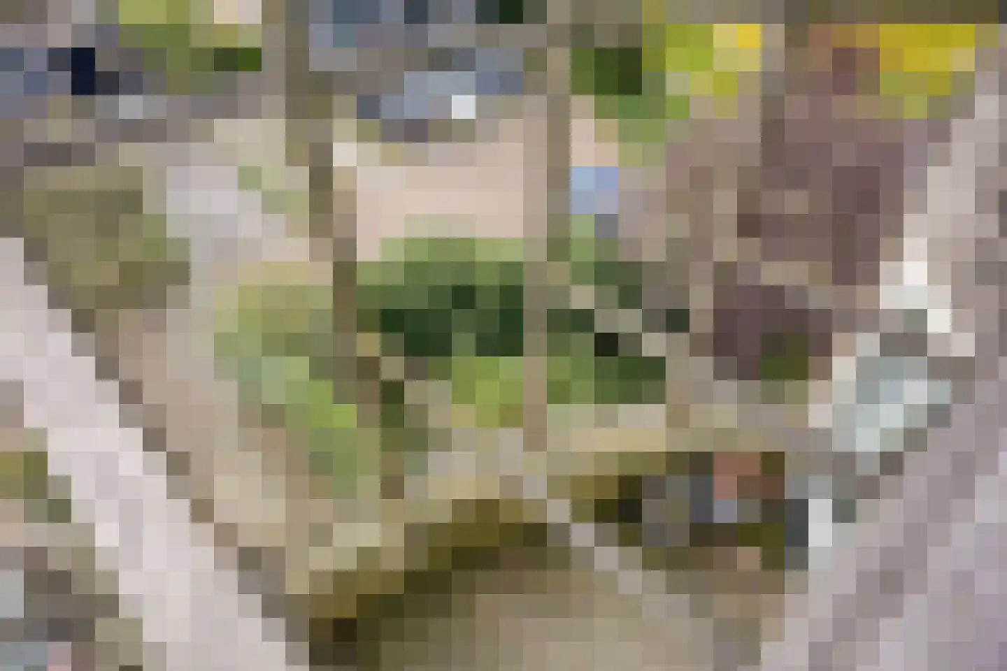 Coreemarke 30 Zwolle thumbnail 30