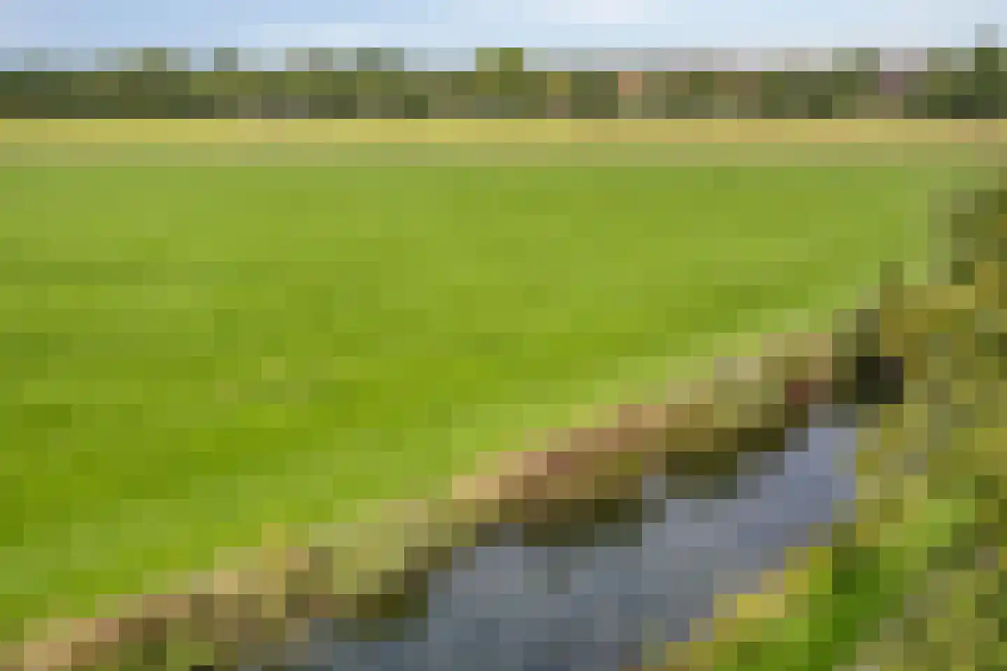 Coreemarke 30 Zwolle thumbnail 36
