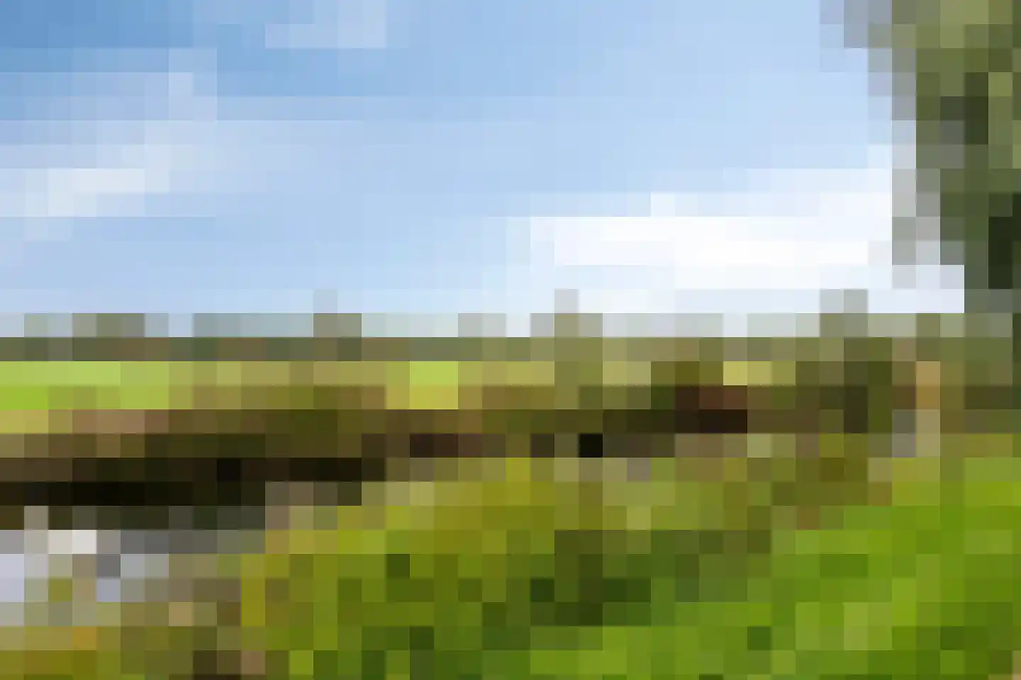 Coreemarke 30 Zwolle thumbnail 38