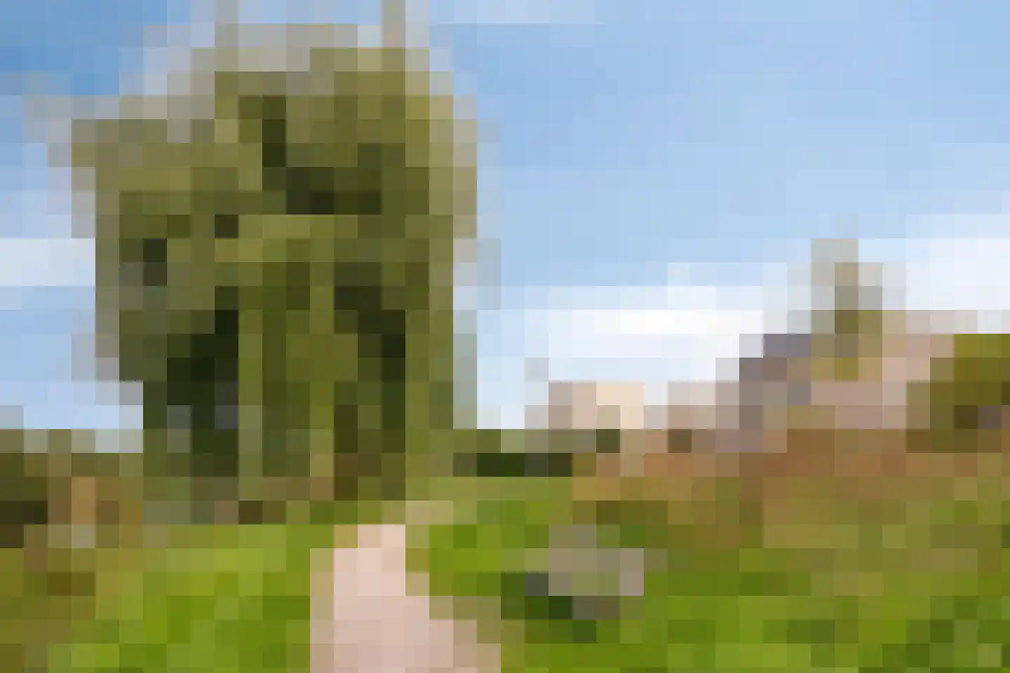 Coreemarke 30 Zwolle thumbnail 39