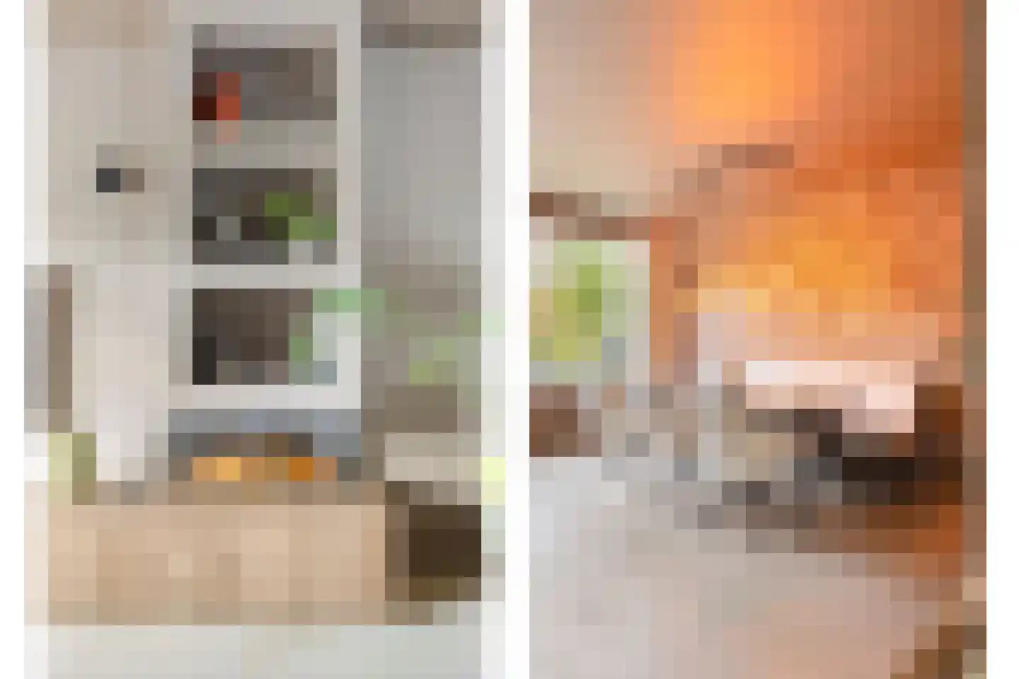 Corellipad 16 Nieuwerkerk aan den IJssel thumbnail 10