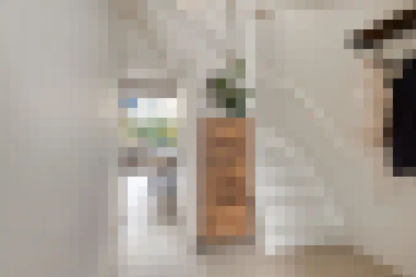Corellipad 16 Nieuwerkerk aan den IJssel thumbnail 12