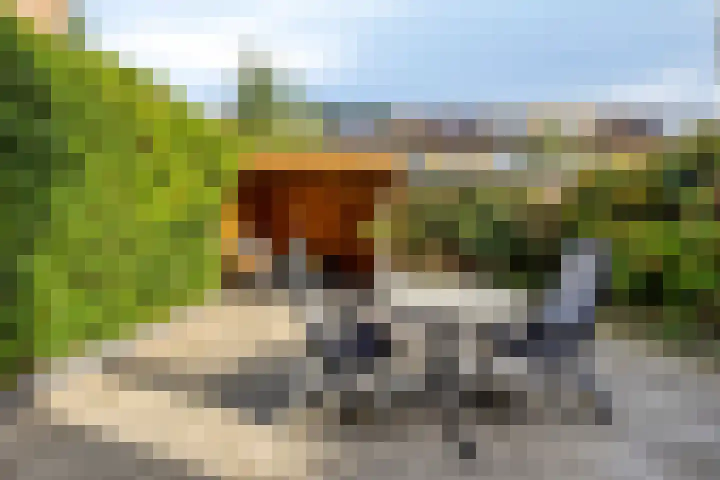 Corellipad 16 Nieuwerkerk aan den IJssel thumbnail 23