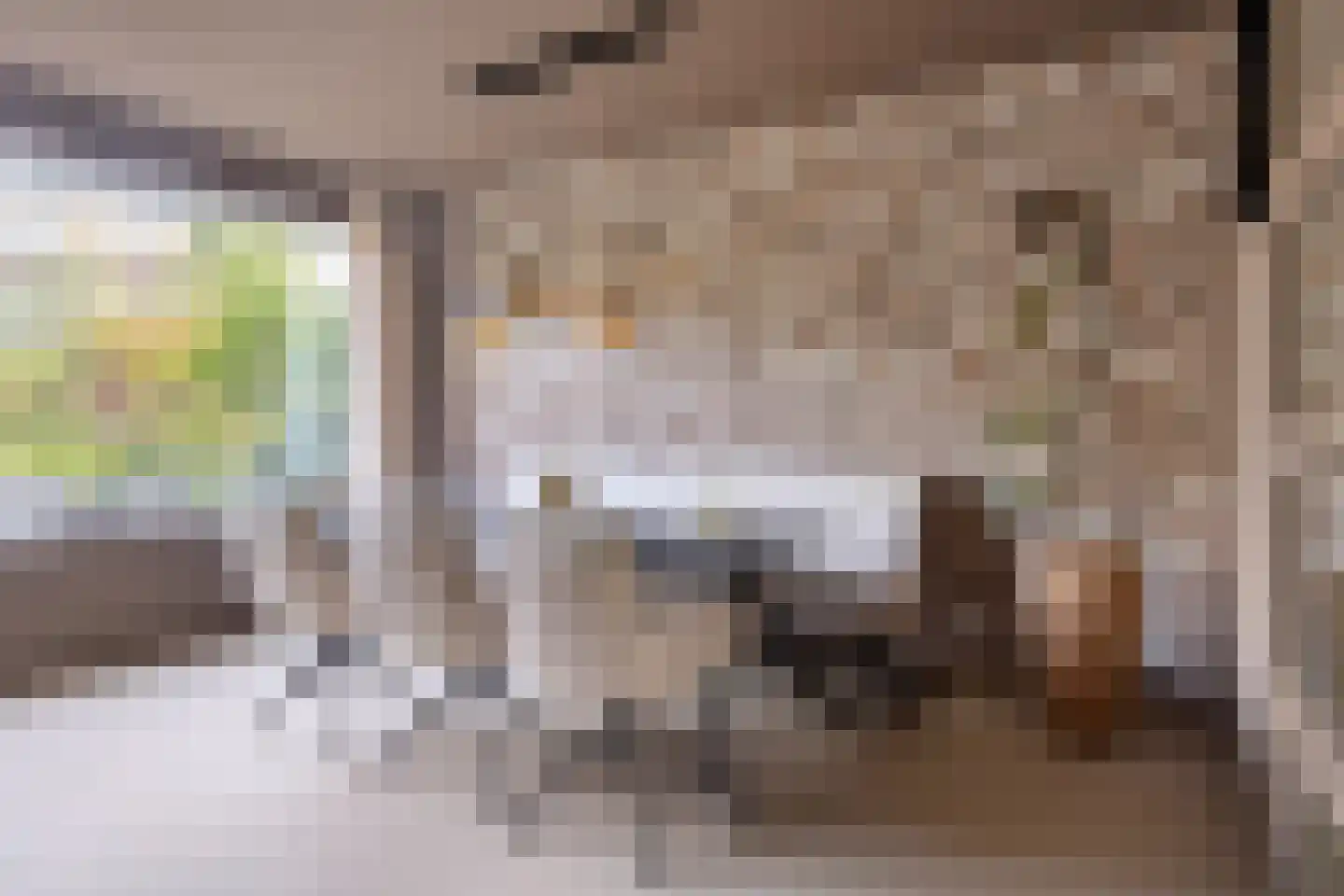 Corellipad 16 Nieuwerkerk aan den IJssel thumbnail 5