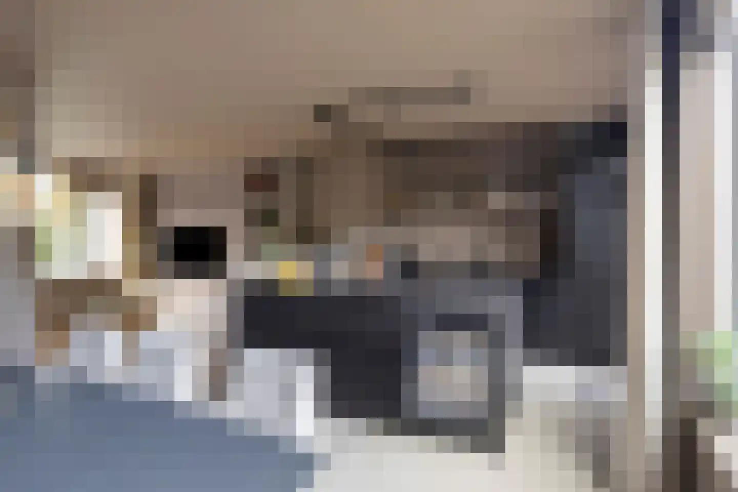 Corellipad 16 Nieuwerkerk aan den IJssel thumbnail 6