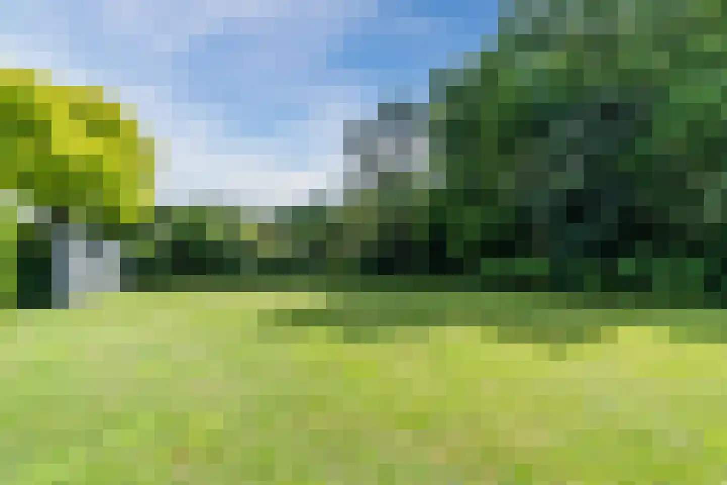 Corellisingel 8 Berkel-Enschot thumbnail 48