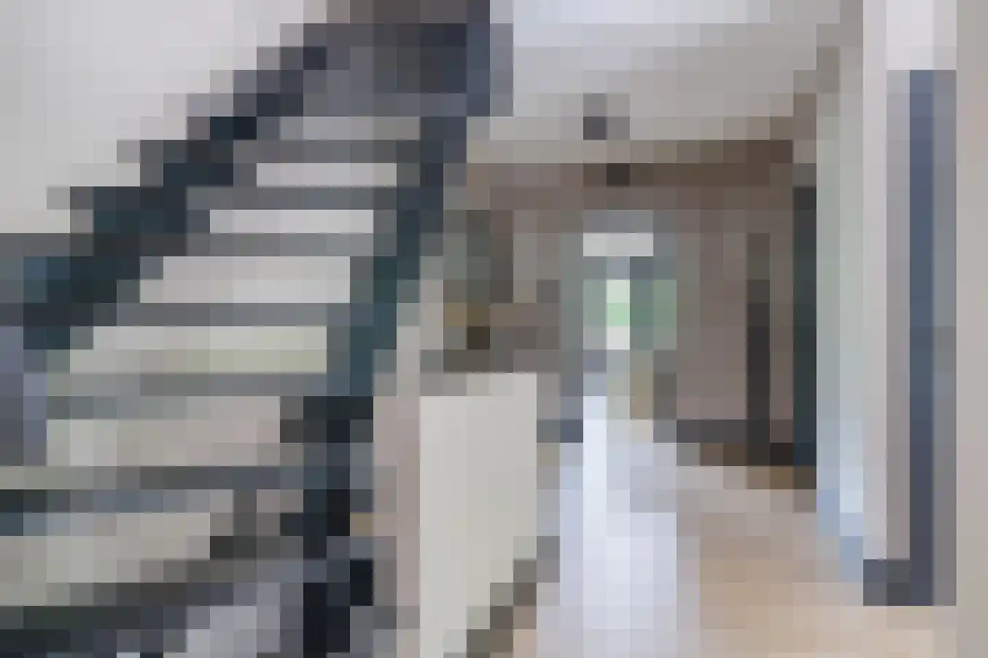 Corellisingel 8 Berkel-Enschot thumbnail 8
