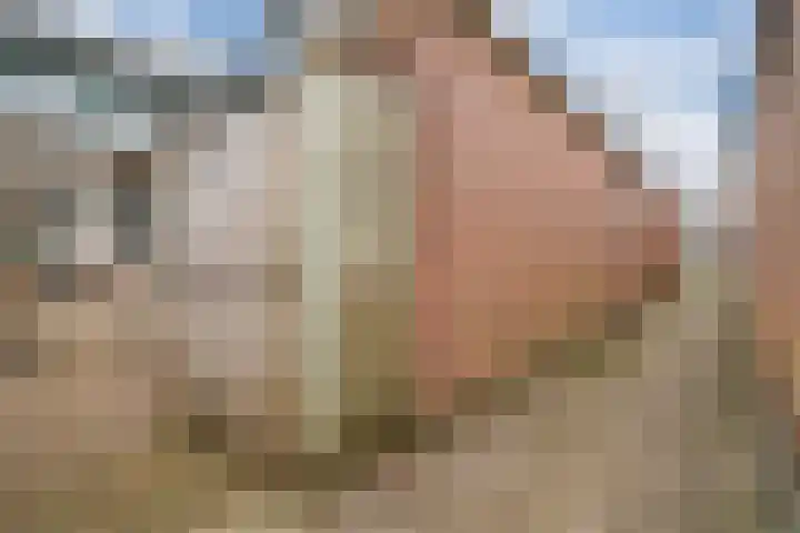 Corellistraat 16 Zevenaar thumbnail 26