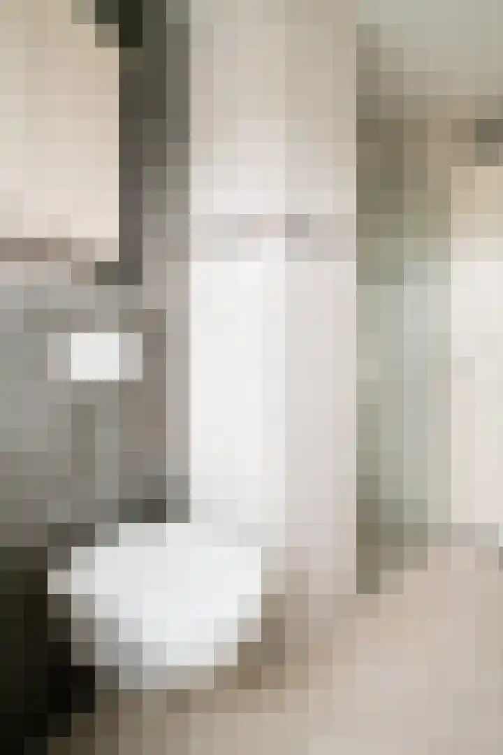 Corellistraat 16 Zevenaar thumbnail 33