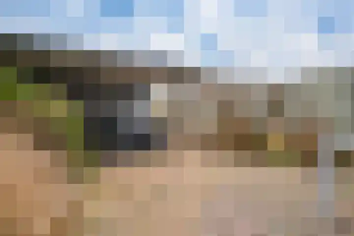 Corellistraat 16 Zevenaar thumbnail 5