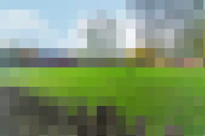 Corellistraat 18 Zevenaar thumbnail 39