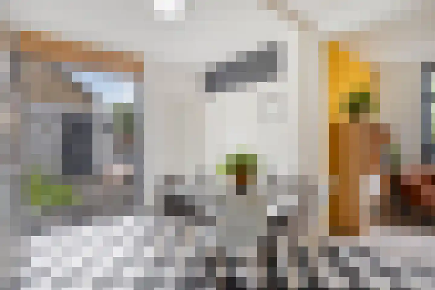 Corellistraat 2 Boxtel thumbnail 18