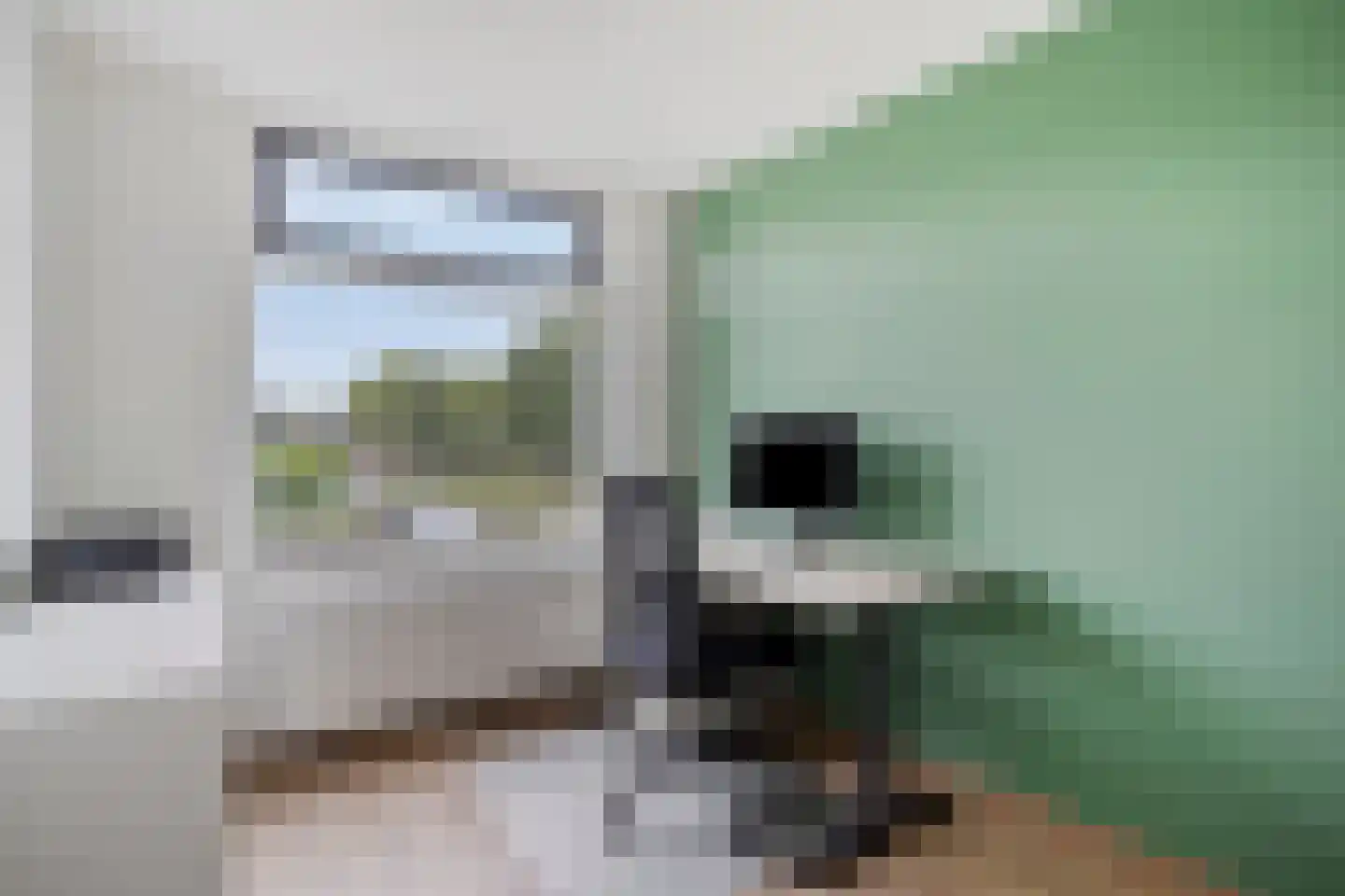 Corellistraat 2 Boxtel thumbnail 26