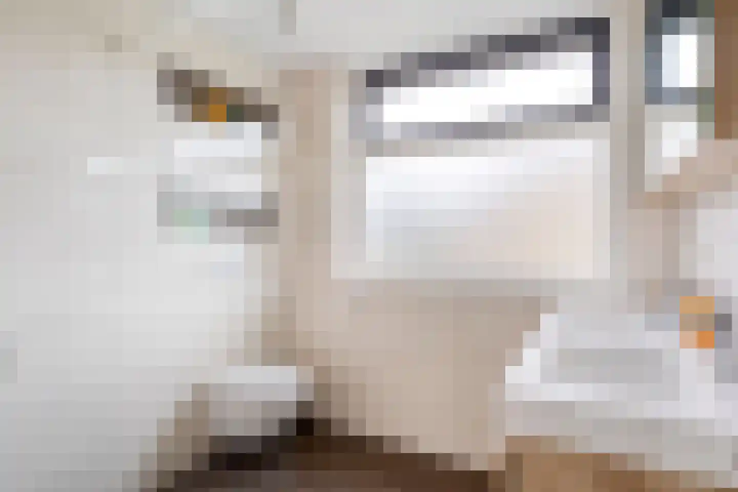 Corellistraat 2 Boxtel thumbnail 29