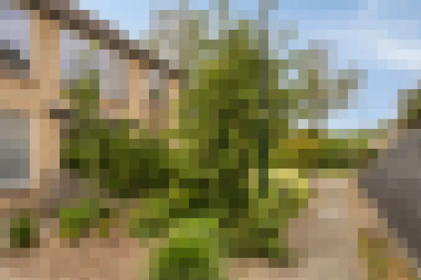 Corellistraat 2 Boxtel thumbnail 44