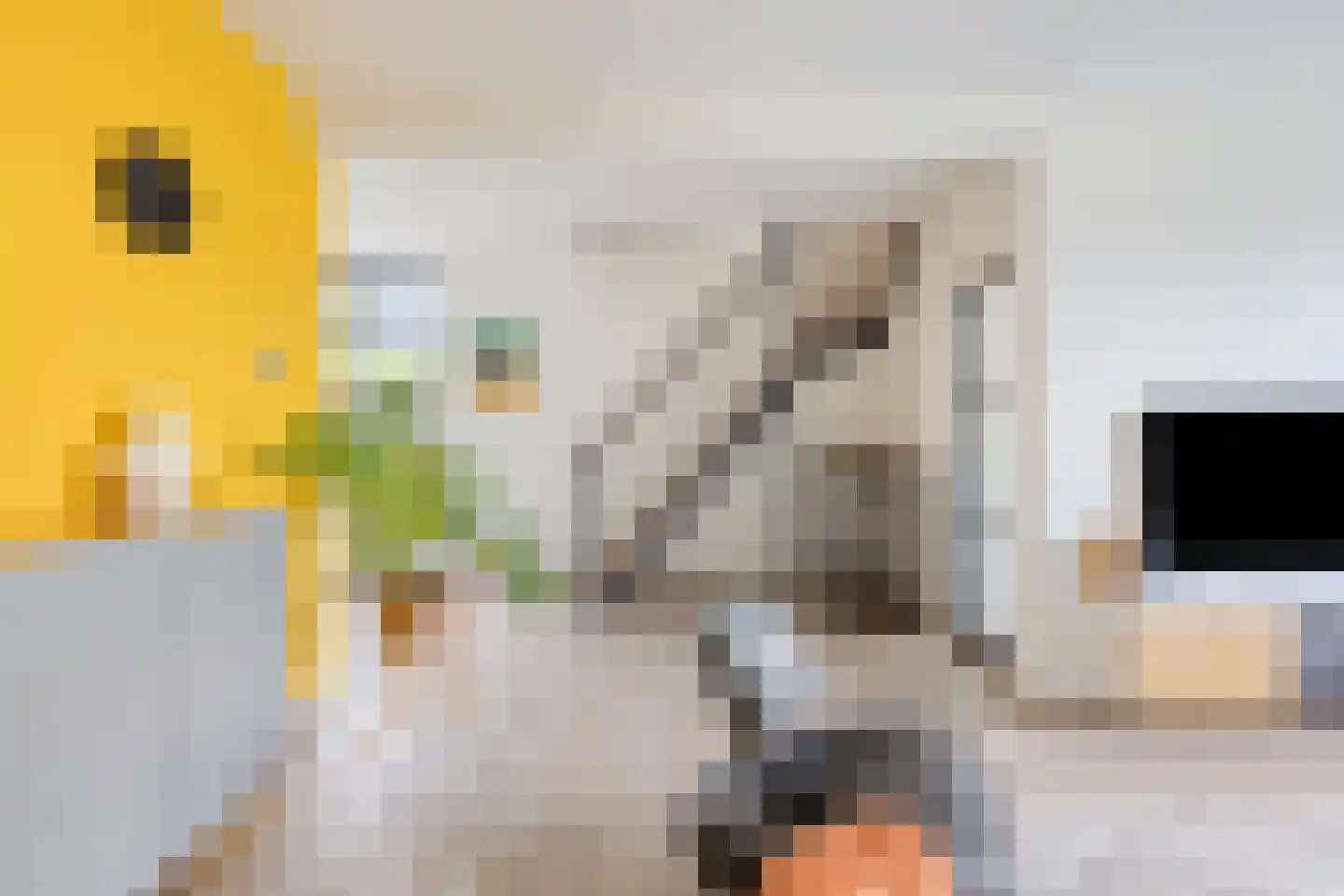 Corellistraat 2 Boxtel thumbnail 8