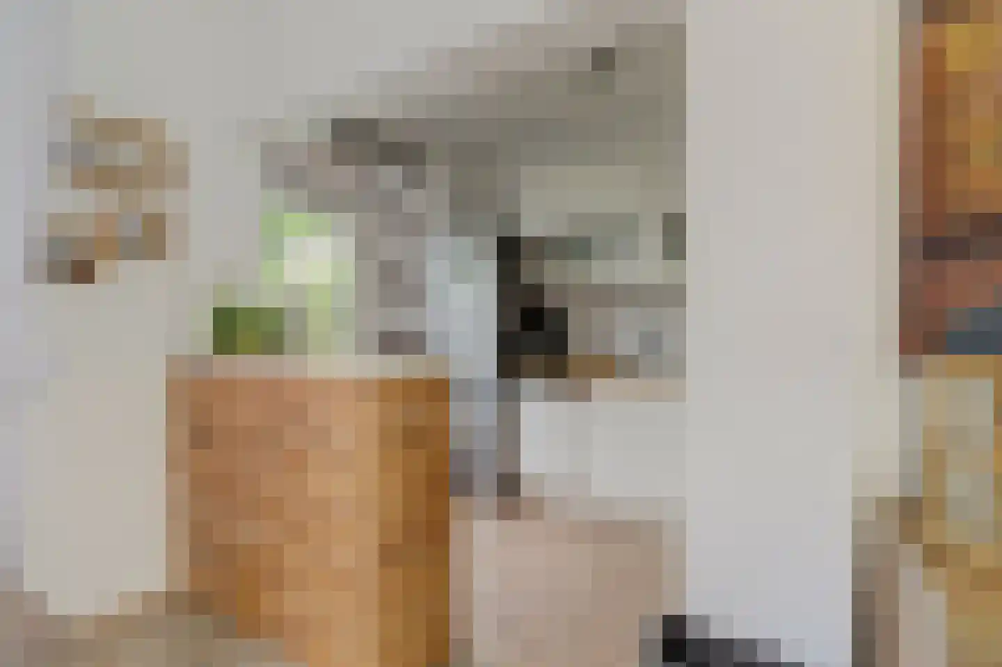 Corellistraat 237 Tilburg thumbnail 14