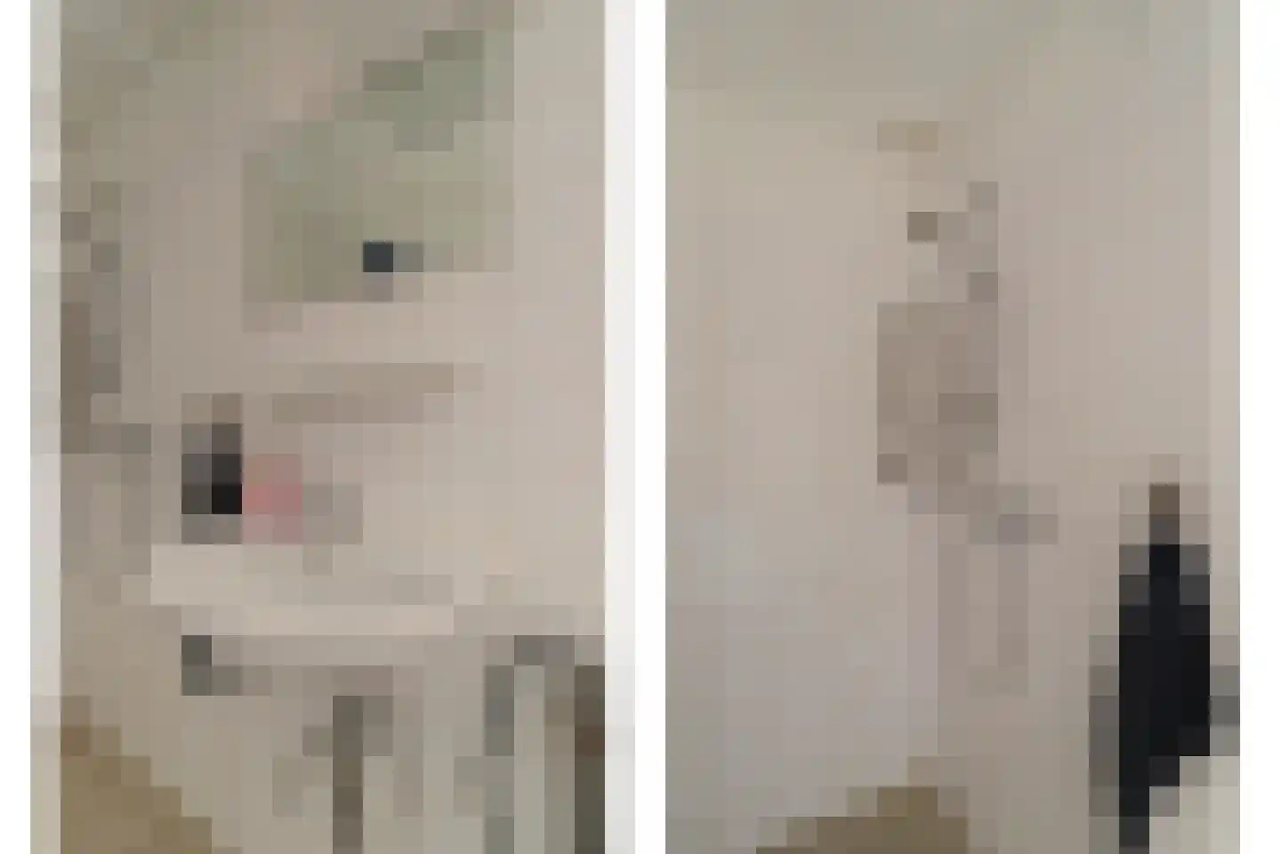 Corellistraat 237 Tilburg thumbnail 26