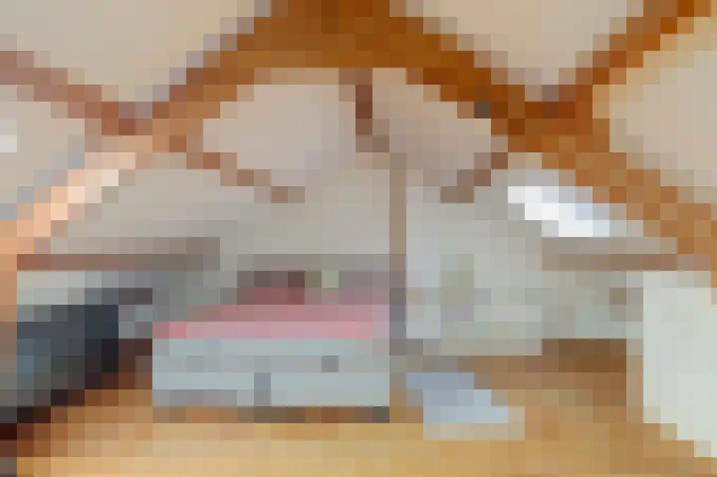 Corellistraat 237 Tilburg thumbnail 28