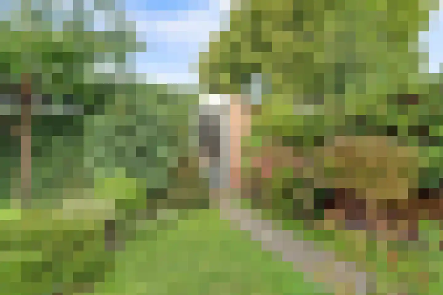 Corellistraat 237 Tilburg thumbnail 32