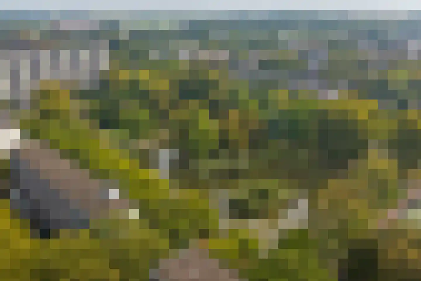Corellistraat 237 Tilburg thumbnail 41