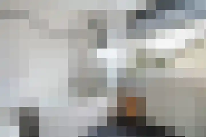 Corellistraat 25 Boxtel thumbnail 42