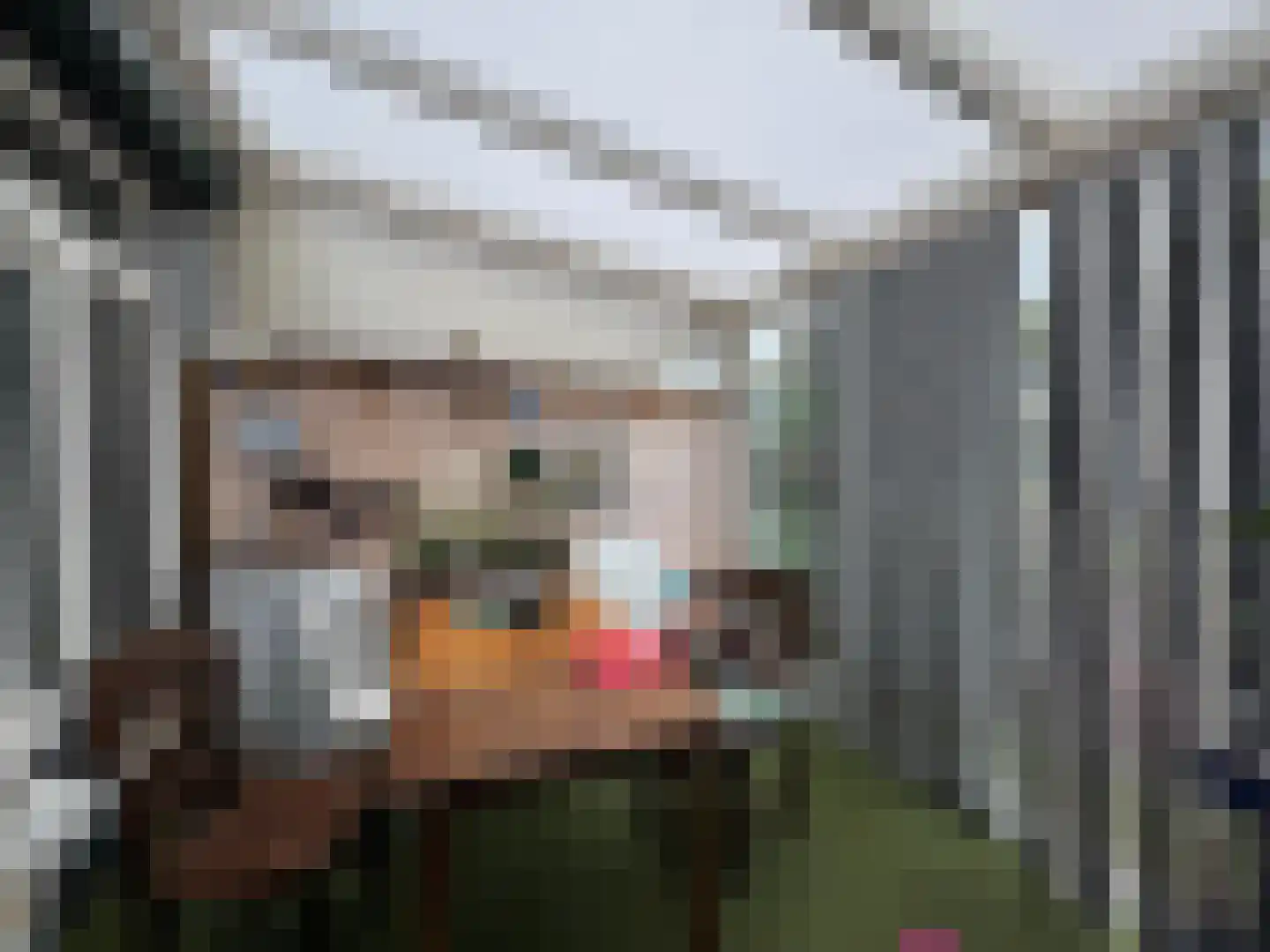 Corellistraat 25 Terneuzen thumbnail 14