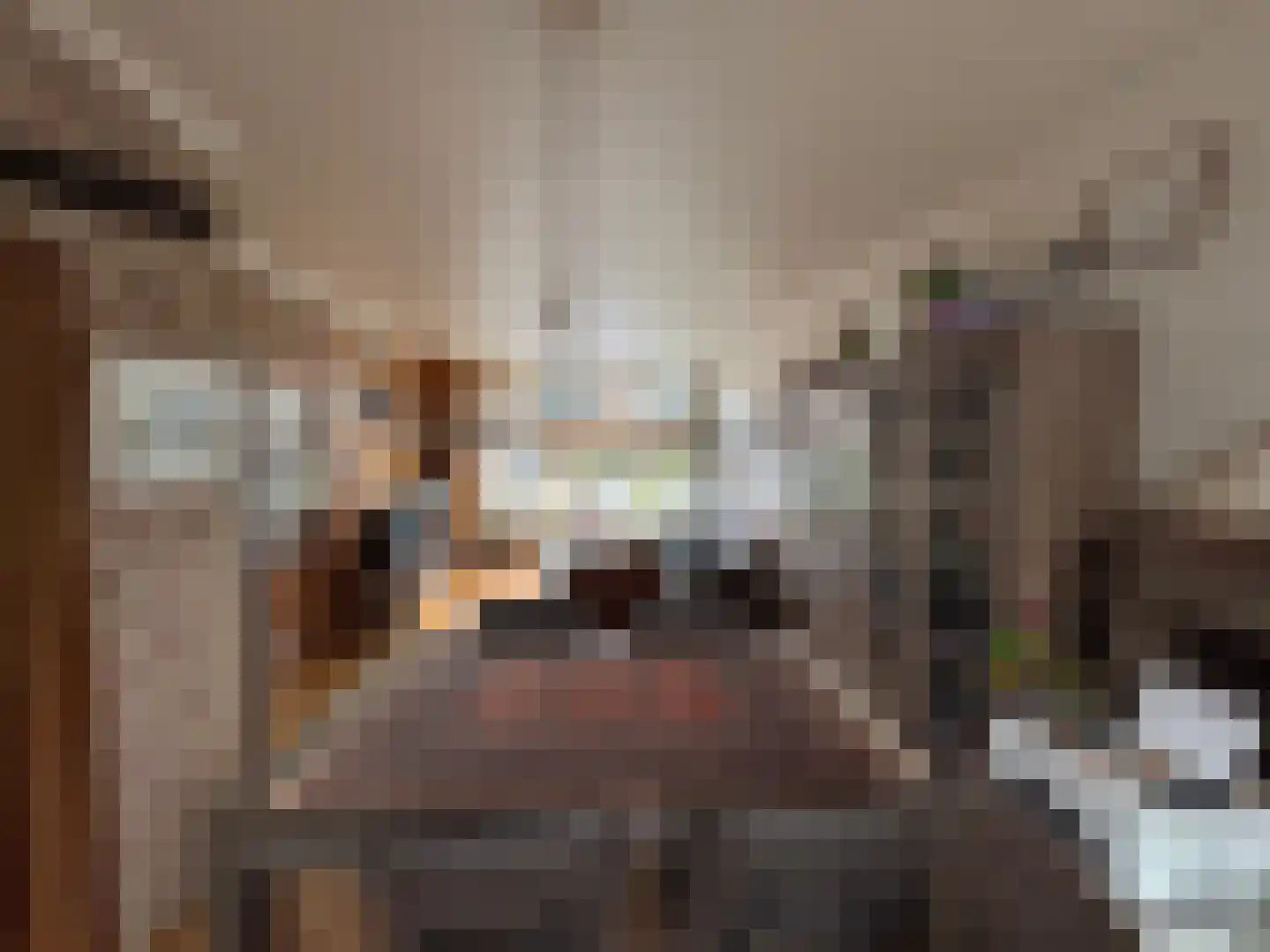 Corellistraat 25 Terneuzen thumbnail 4