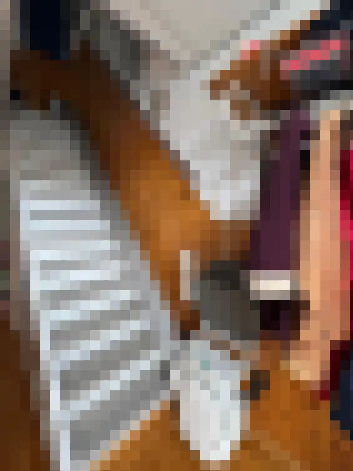 Corellistraat 25 Terneuzen thumbnail 8