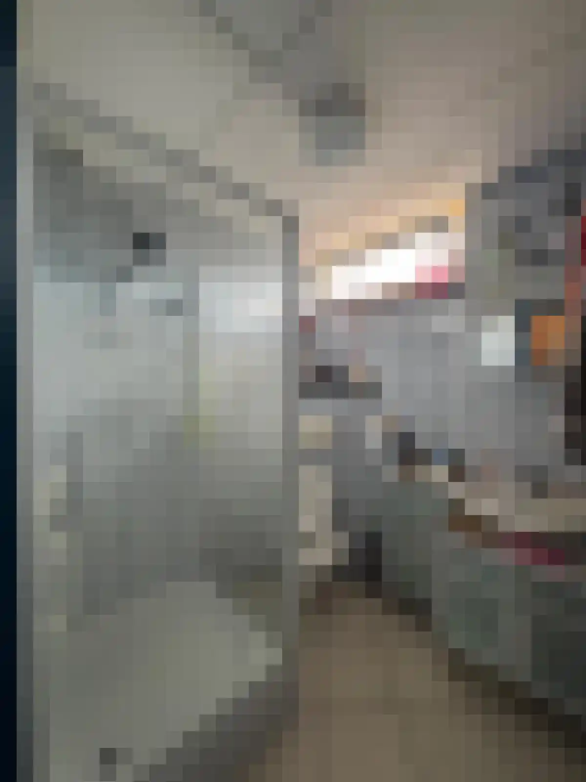 Corellistraat 25 Terneuzen thumbnail 9