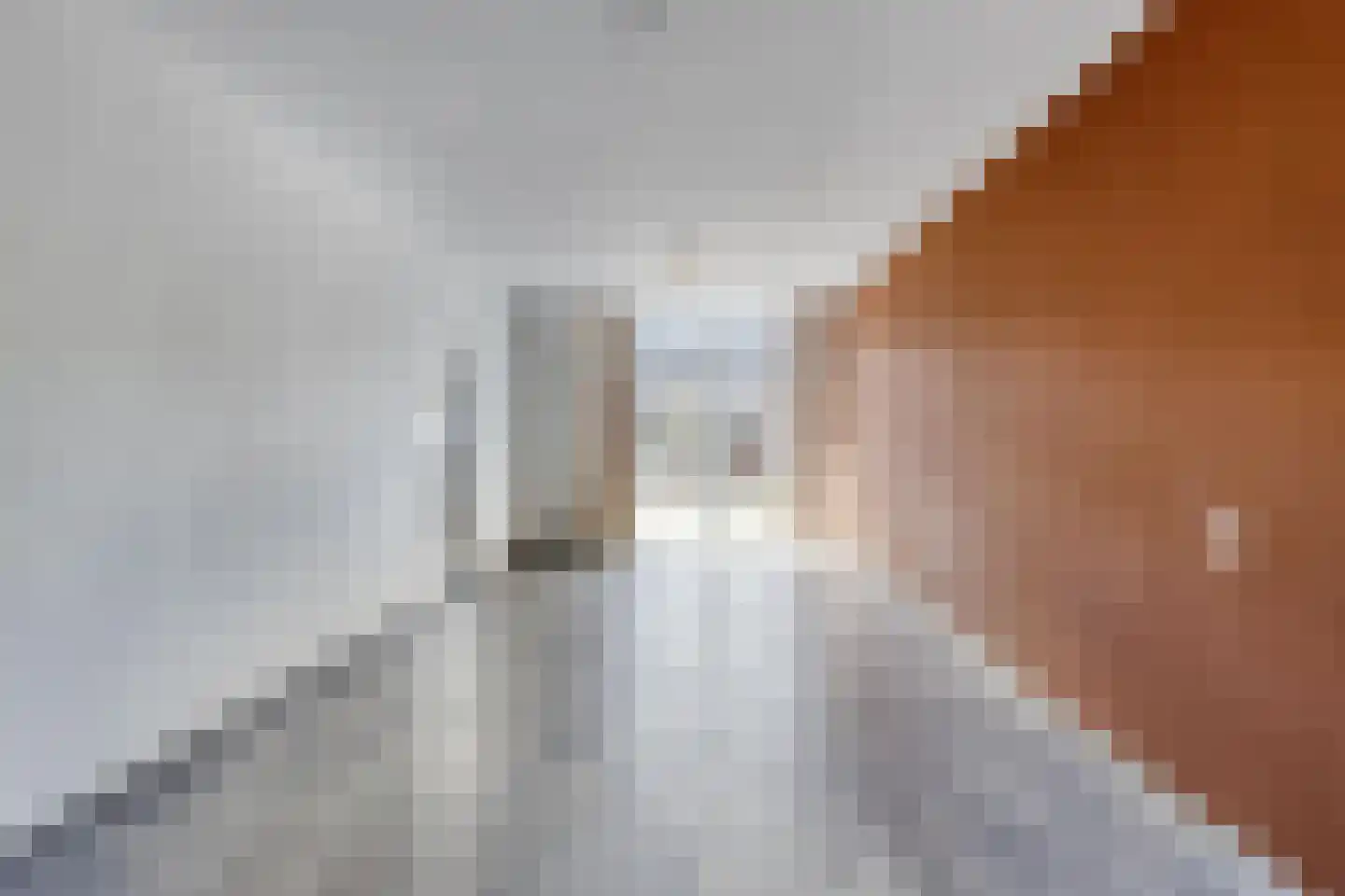 Corellistraat 251 Tilburg thumbnail 11