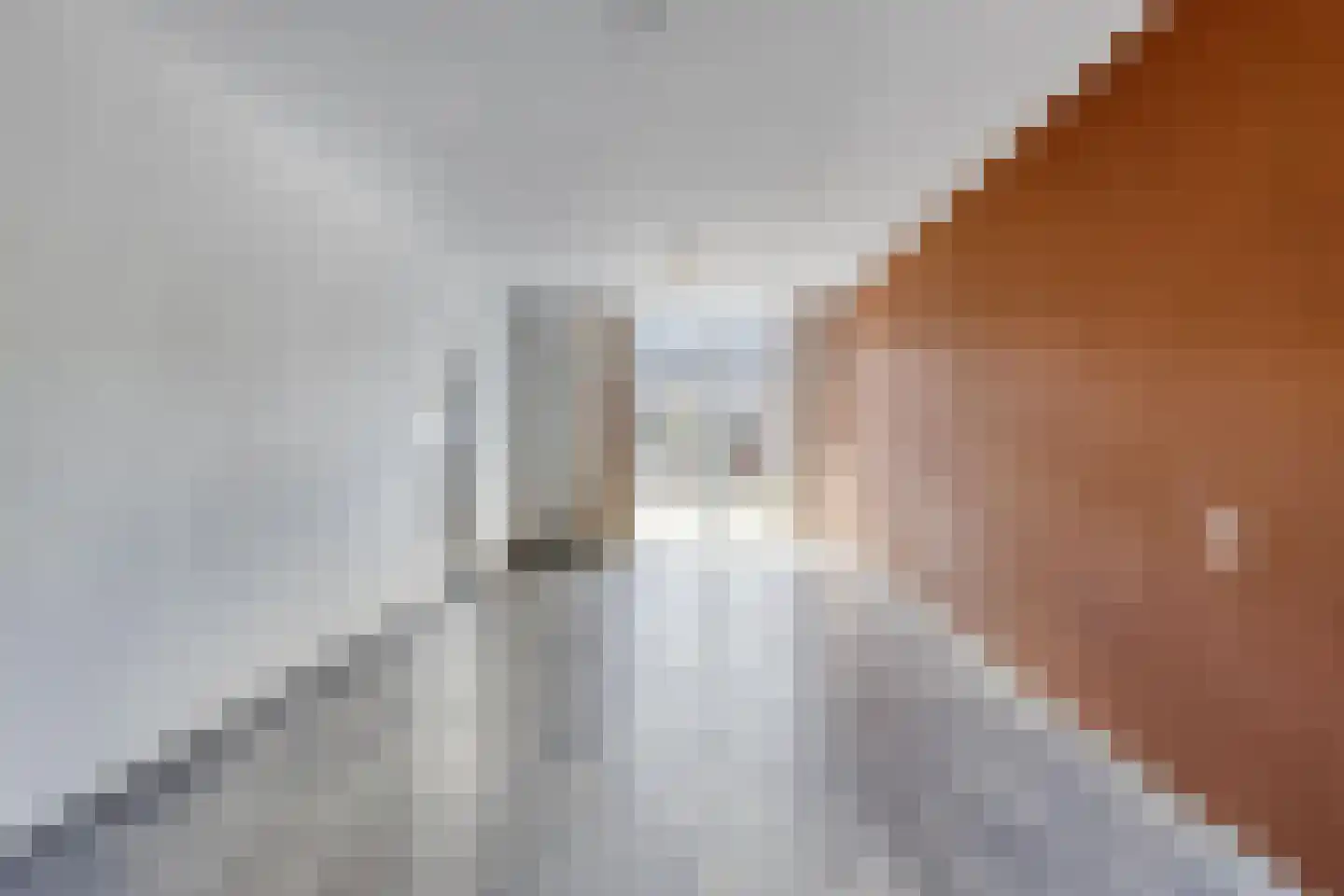 Corellistraat 251 Tilburg thumbnail 11
