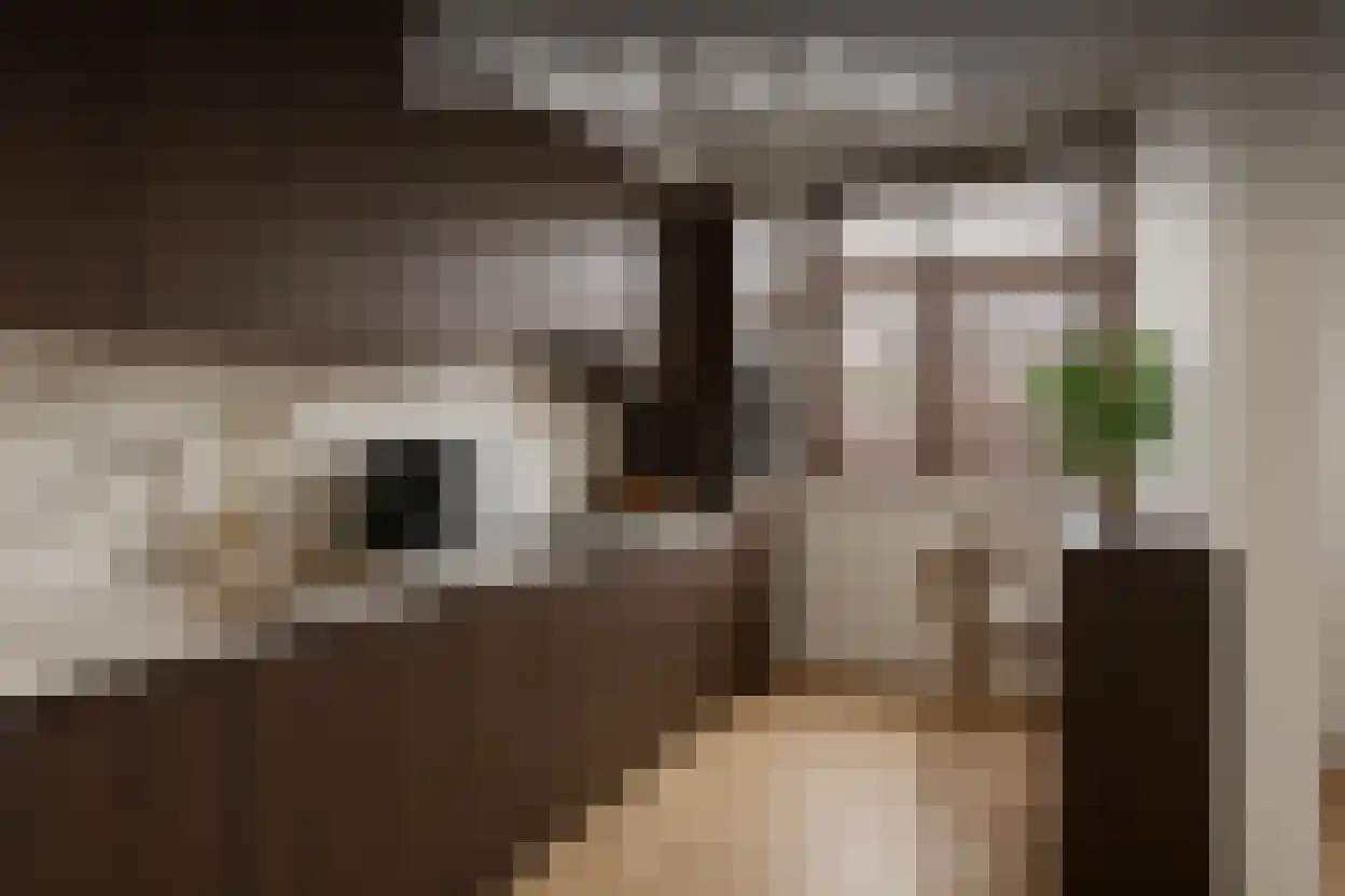 Corellistraat 251 Tilburg thumbnail 18