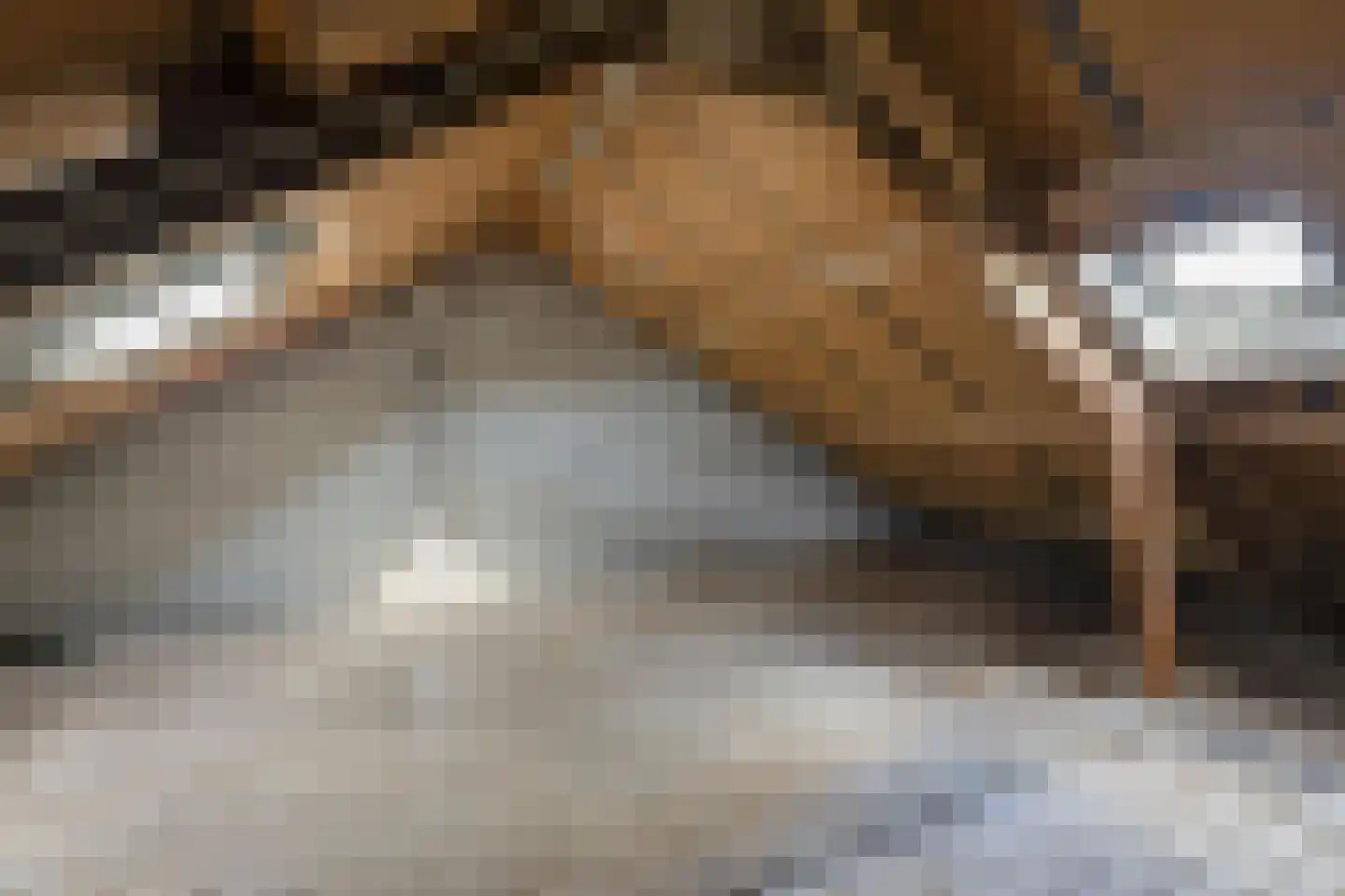 Corellistraat 251 Tilburg thumbnail 33