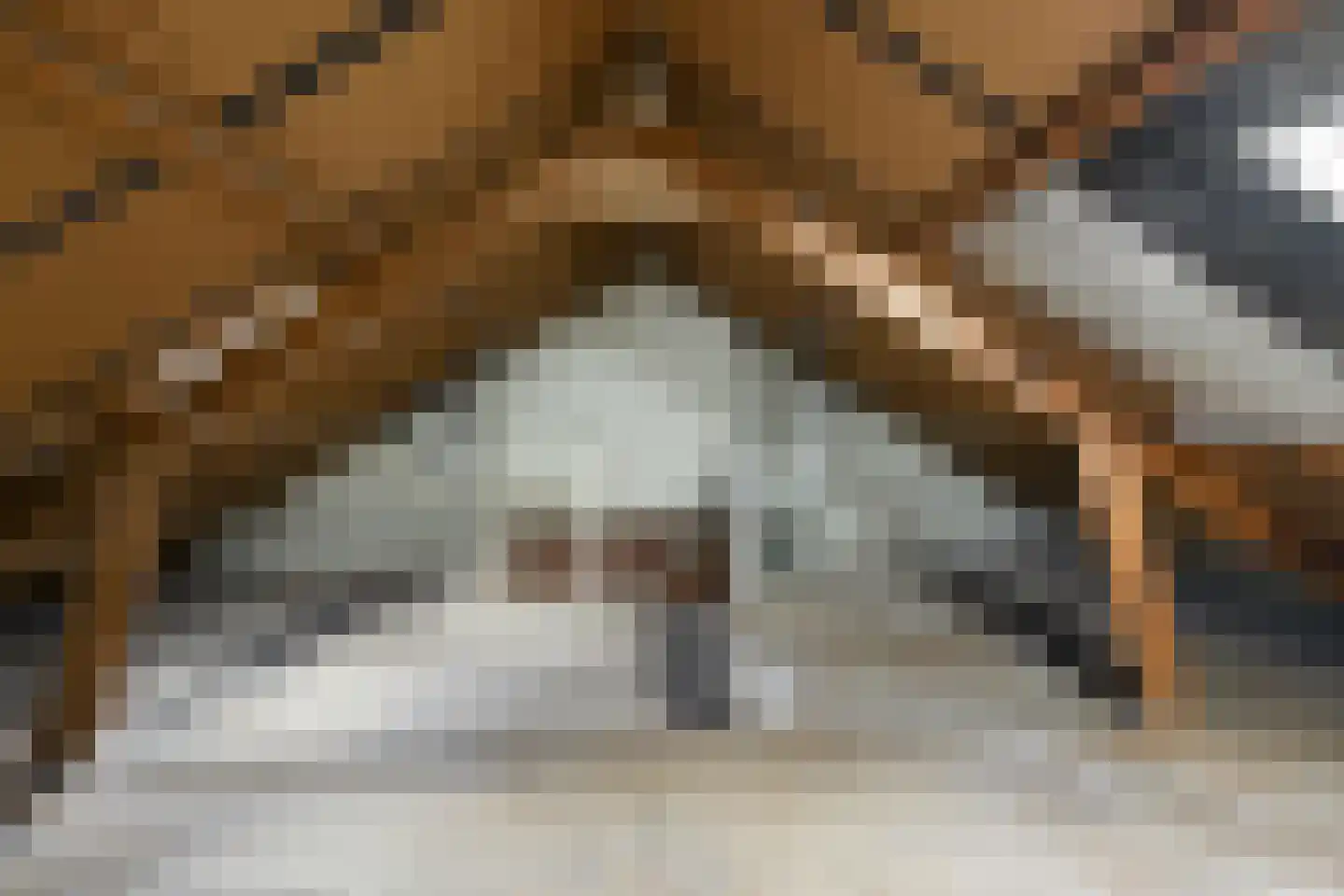 Corellistraat 251 Tilburg thumbnail 34