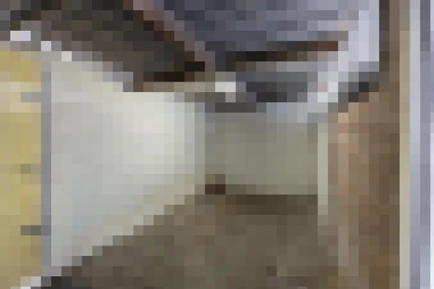 Corellistraat 251 Tilburg thumbnail 43