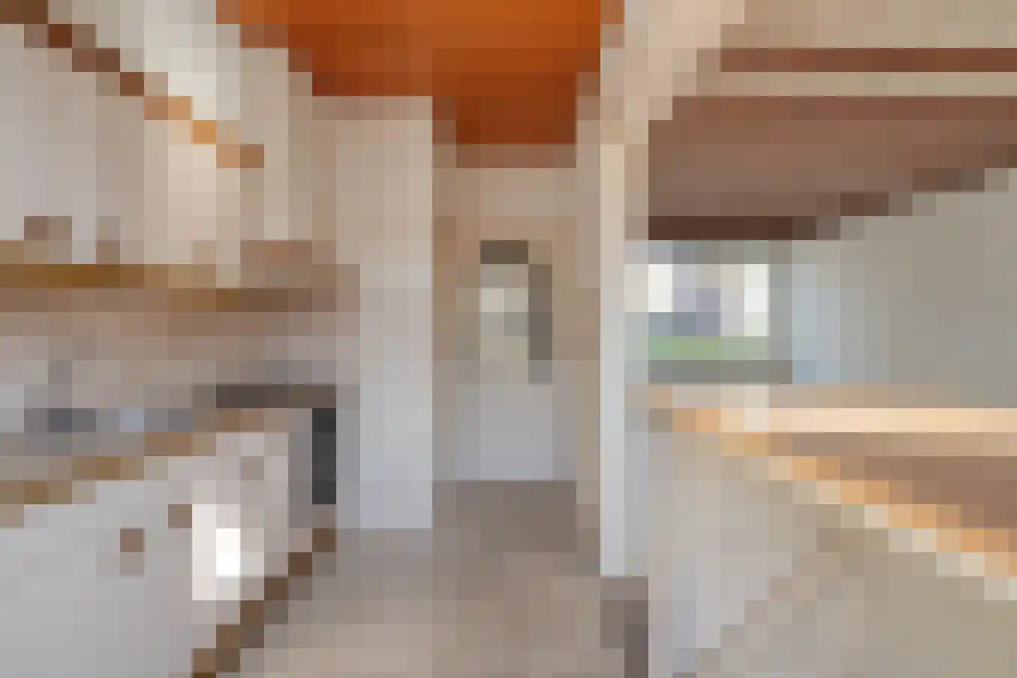 Corellistraat 257 Tilburg thumbnail 13