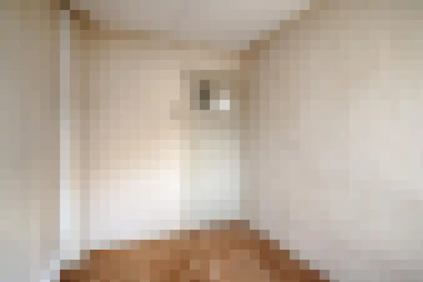 Corellistraat 257 Tilburg thumbnail 21