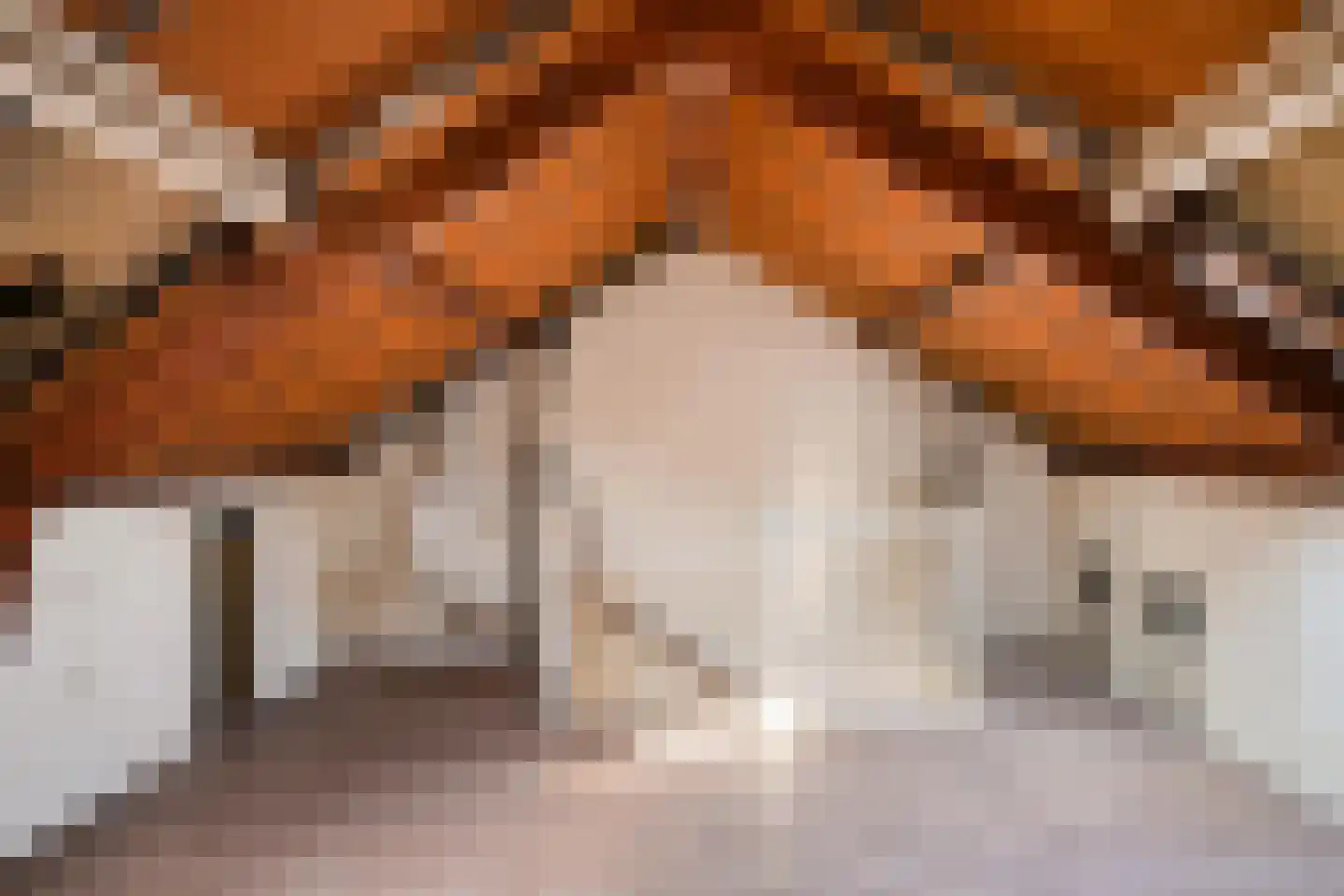 Corellistraat 257 Tilburg thumbnail 23