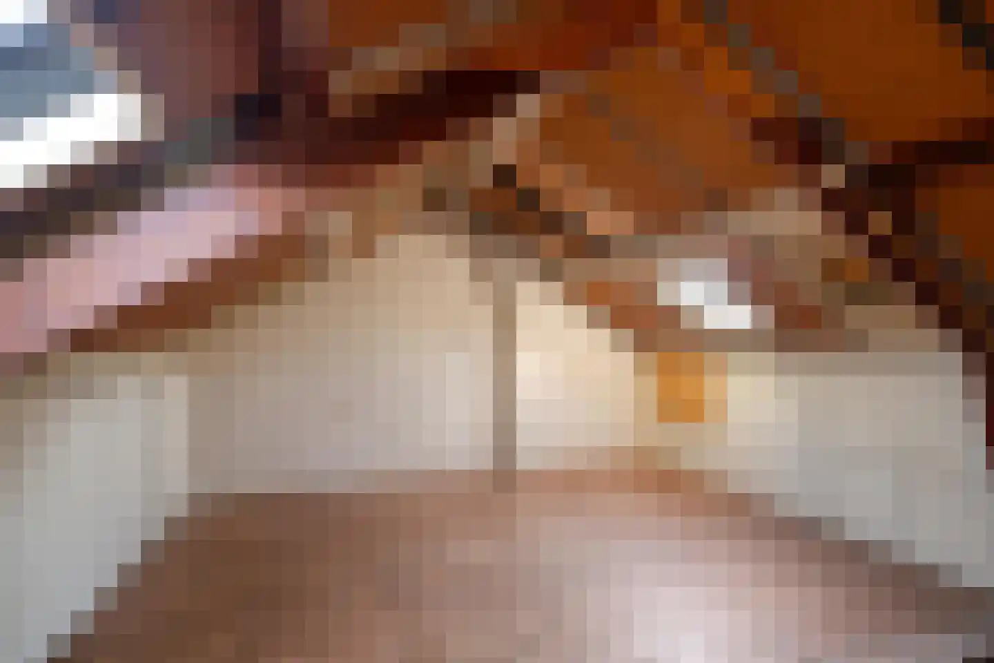 Corellistraat 257 Tilburg thumbnail 24