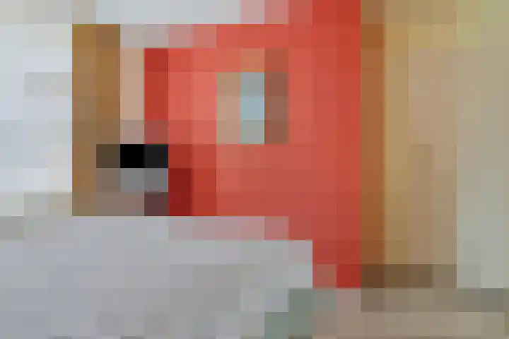 Corellistraat 27 Terneuzen thumbnail 17