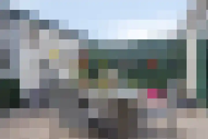 Corellistraat 27 Terneuzen thumbnail 23