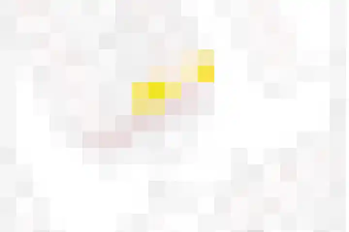 Corellistraat 27 Terneuzen thumbnail 31