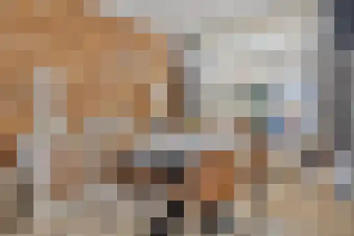 Corellistraat 27 Terneuzen thumbnail 8