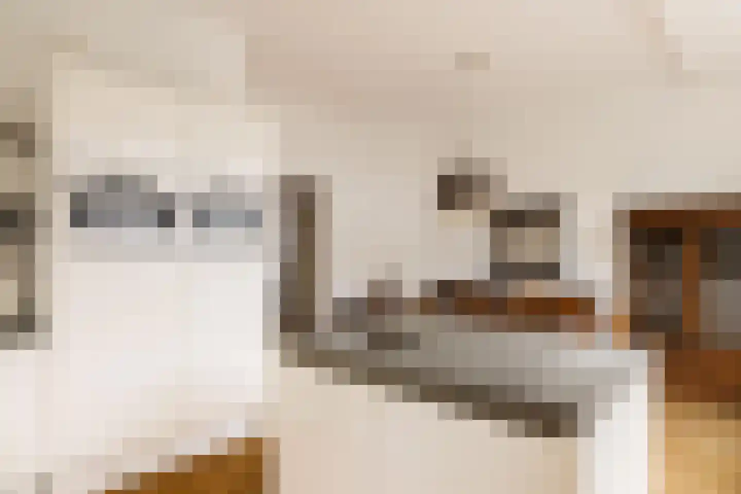 Corellistraat 3 2 Amsterdam thumbnail 15