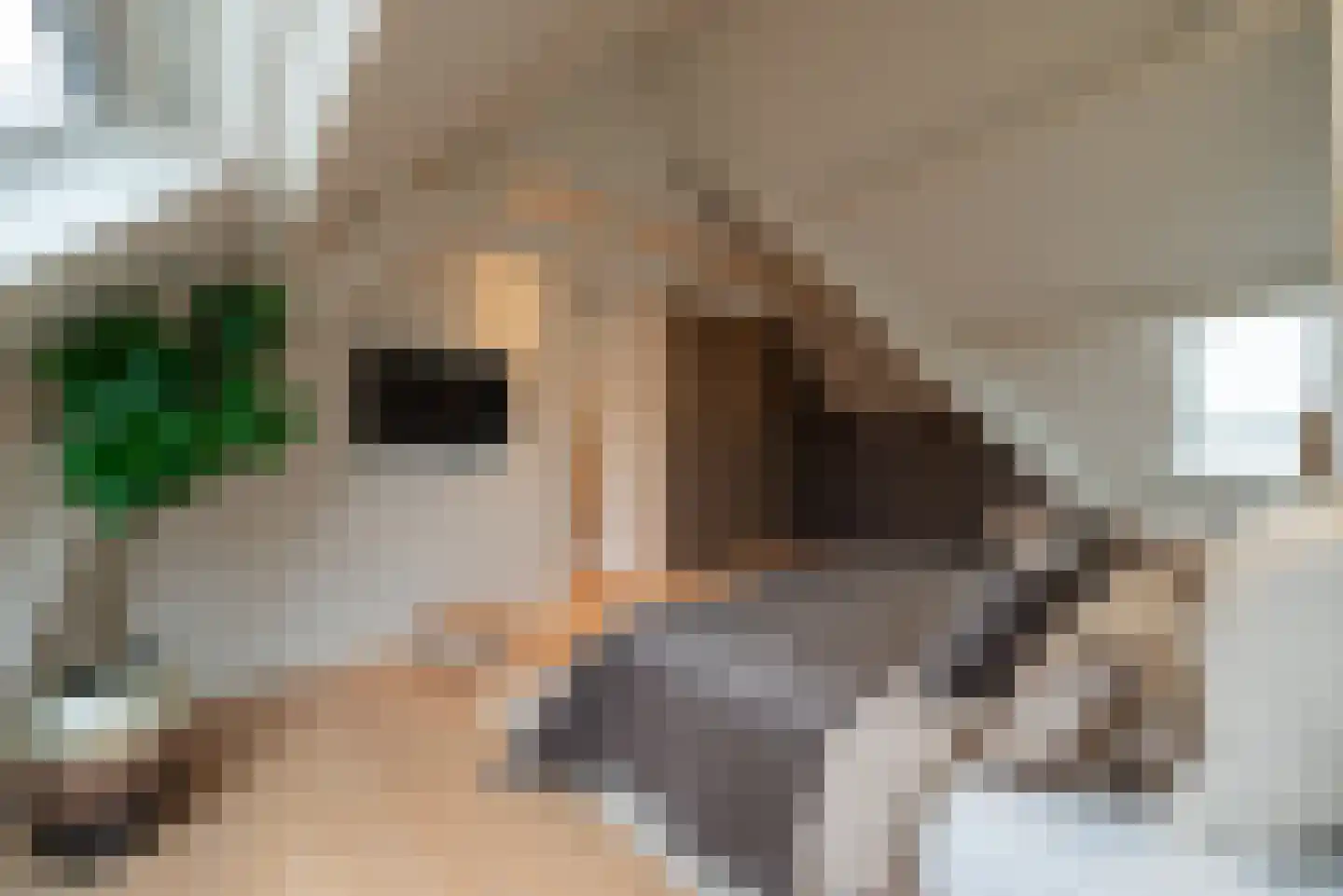 Corellistraat 3 2 Amsterdam thumbnail 35