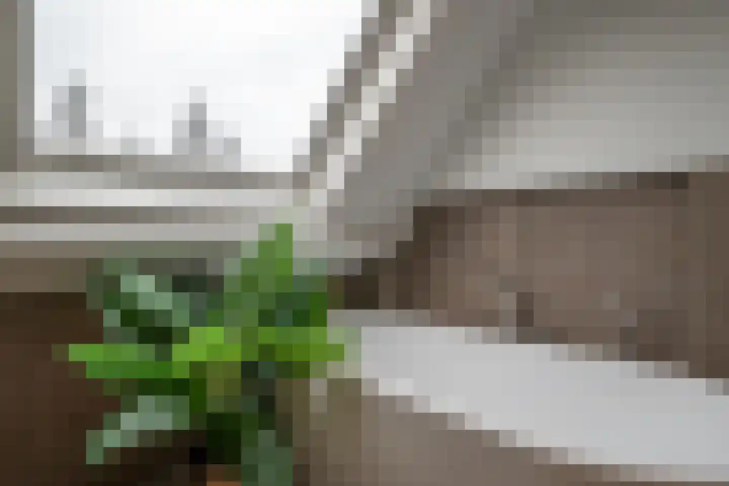 Corellistraat 3 2 Amsterdam thumbnail 39