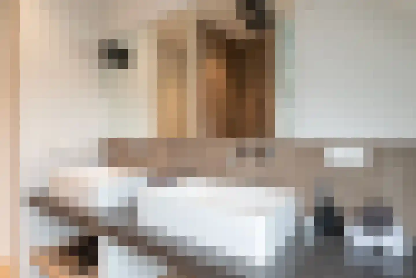 Corellistraat 3 2 Amsterdam thumbnail 40
